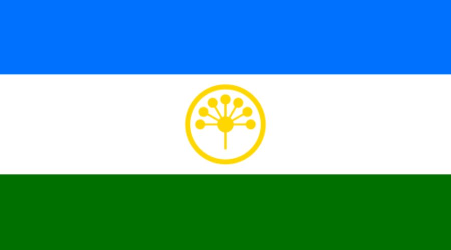 ekomig bashkortostan
